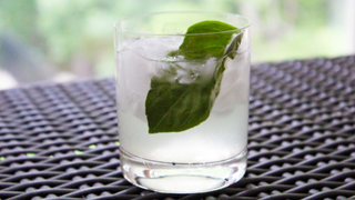 Gin Basil Smash Cocktail