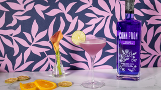 Pegu Club made with Conniption Kinship Gin