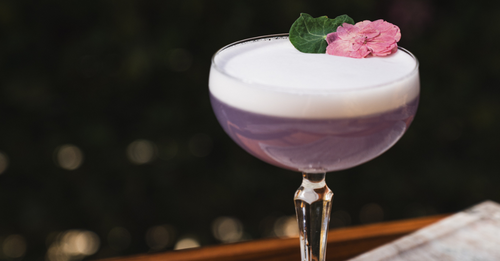 Purple Spring Blossoms cocktail made with Conniption Kinship Gin in a coupe glass, topped with floral foam, leaf garnish, and a dried flower for spring flair.