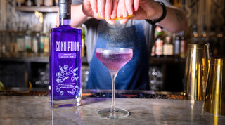 10 Questions You've Always Wanted to Ask About Conniption Gin