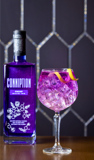 Conniption Kinship Gin