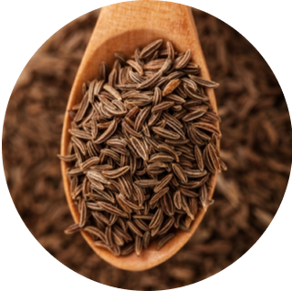 caraway.png