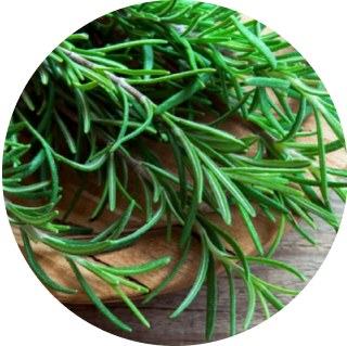rosemary.png